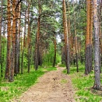 база отдыха самара